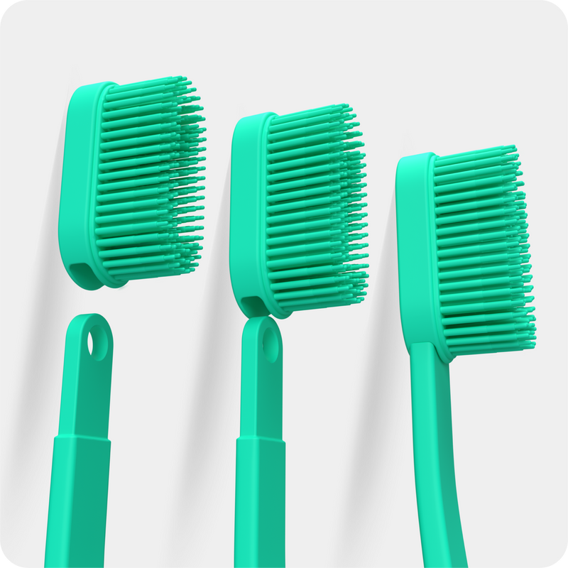 4. Because you only replace the heads (not buy 6 new brushes every year)