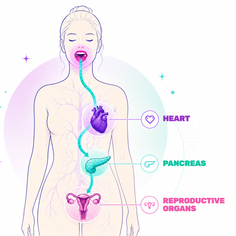 Gums, breath, teeth — your whole body